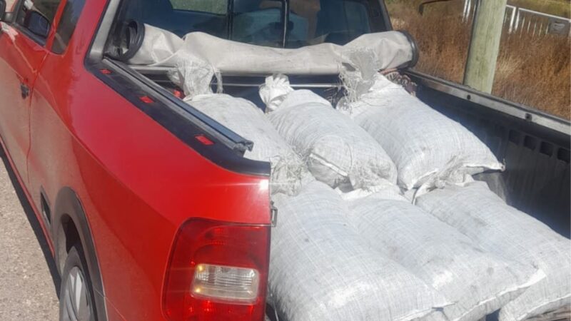Dos aprehendidos con más de 300 kilos de ciruela sustraída de un secadero