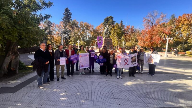 El HCD recibió un petitorio de la Asociación de Fibromialgia en el marco de una jornada de concientización