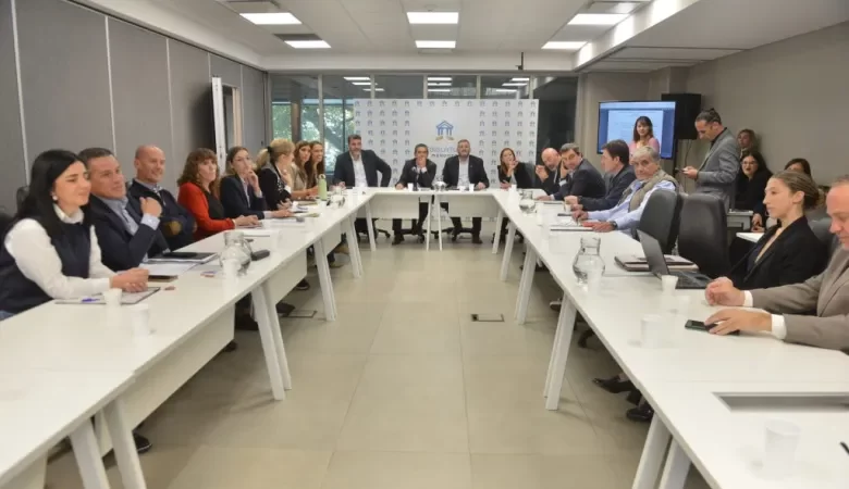 El Senado de Mendoza dio luz verde a la reforma constitucional y resta su aprobación en el recinto