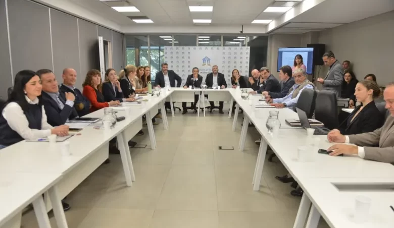 El Senado de Mendoza dio luz verde a la reforma constitucional y resta su aprobación en el recinto