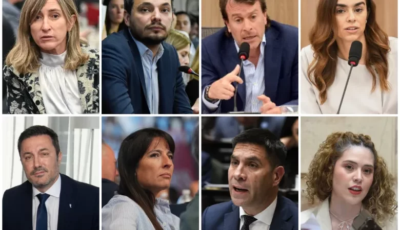 Zona Fría: los diputados que votaron a favor de quitarle el subsidio del gas a miles de mendocinos