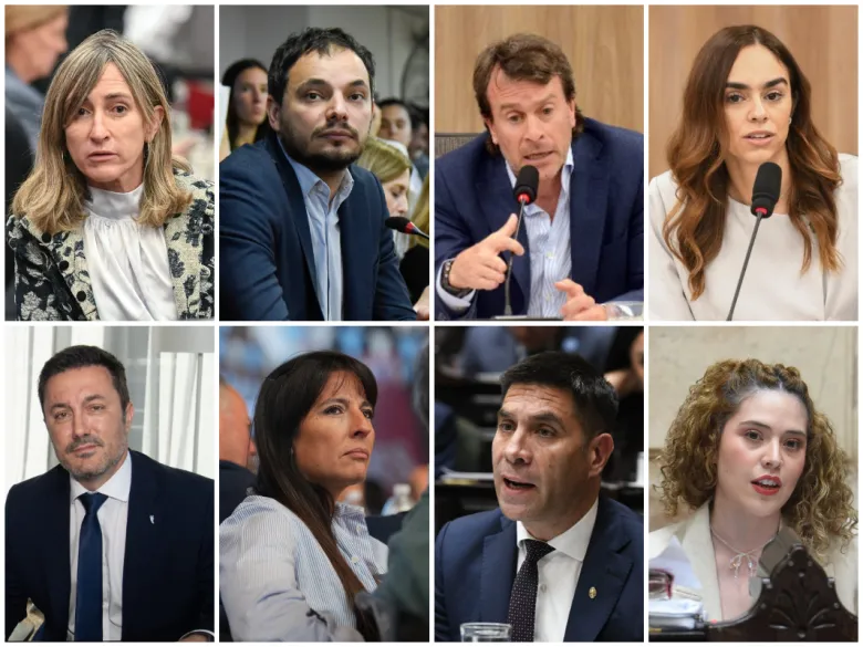 Zona Fría: los diputados que votaron a favor de quitarle el subsidio del gas a miles de mendocinos
