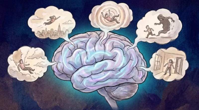 Cuáles son los 12 sueños más frecuentes y qué revelan sobre las emociones, según la neurociencia