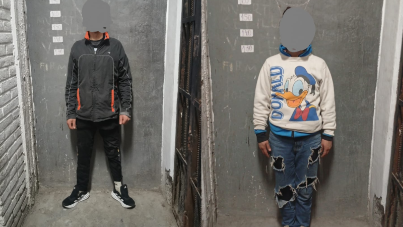 Aprehendieron a una pareja tras un robo