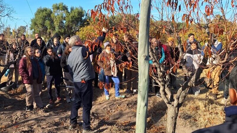 Con gran número de asistentes, iniciaron las capacitaciones en poda de frutales y vid dictadas por el municipio y el INTA