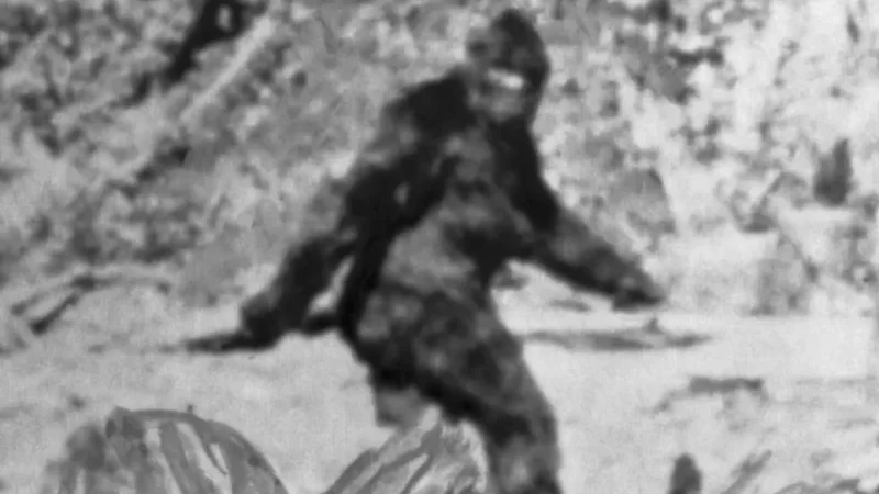 ¿“Pie Grande” fue visto en Ohio? Nuevos reportes reavivan el misterio y la búsqueda de respuestas