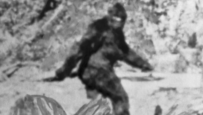 ¿“Pie Grande” fue visto en Ohio? Nuevos reportes reavivan el misterio y la búsqueda de respuestas