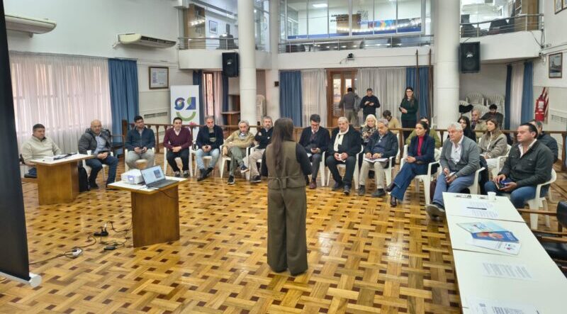 La Comisión Especial Paso Las Leñas avanzó en la planificación de su agenda 2026
