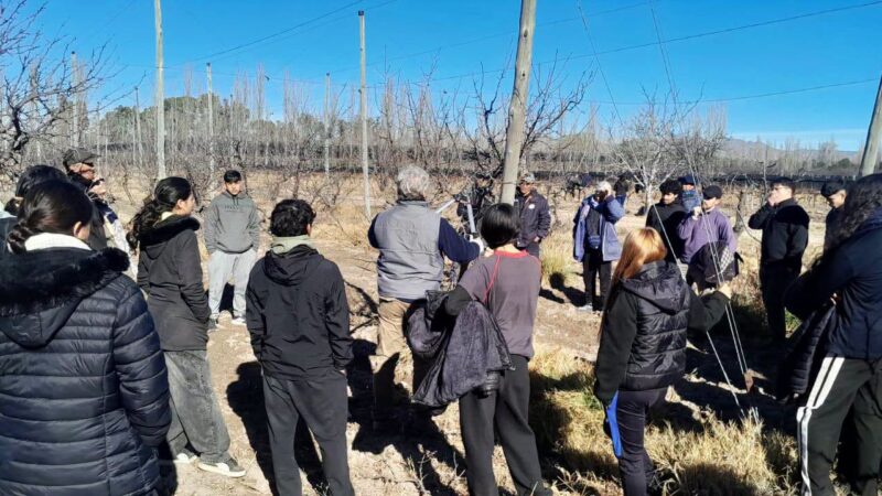 Cientos de sanrafaelinos se capacitaron en el ciclo de poda de vid y frutales