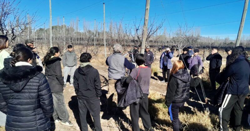 Cientos de sanrafaelinos se capacitaron en el ciclo de poda de vid y frutales