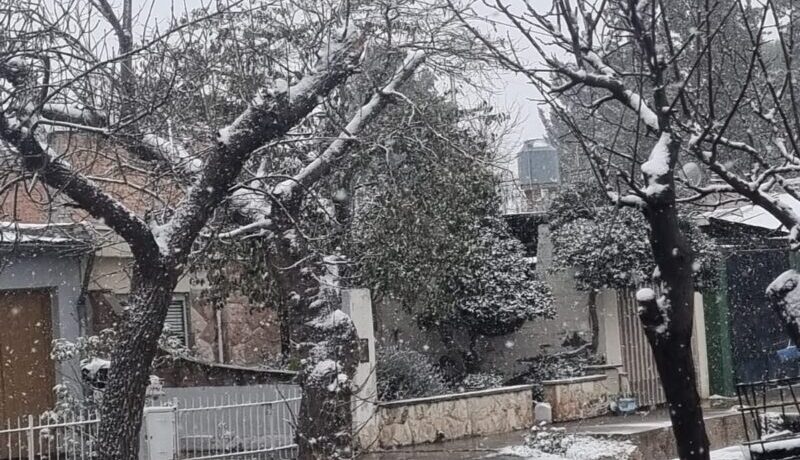 Nieva en algunos departamentos de Mendoza