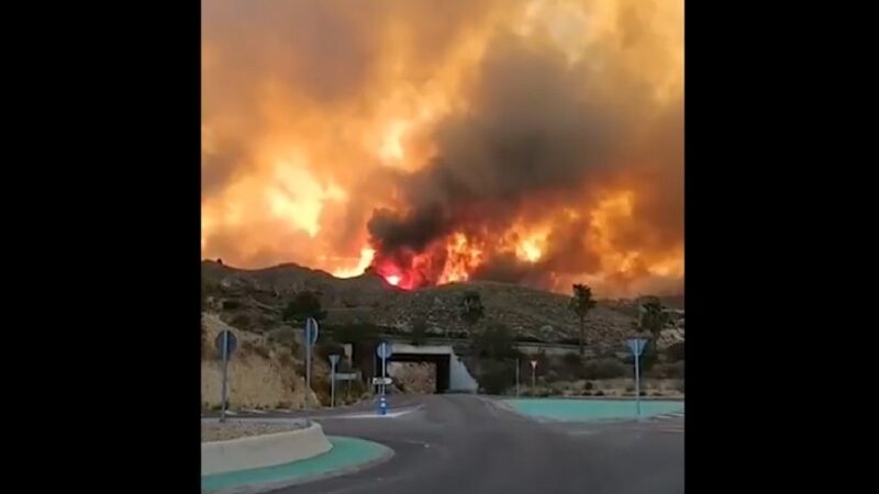 Tragedia en España: turistas calcinados en sus autos, desaparecidos y evacuados en el peor incendio en Andalucía