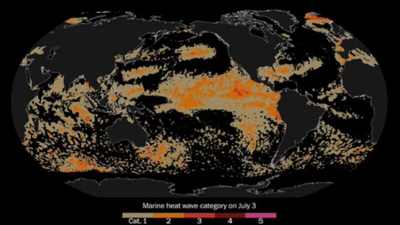 Fiebre oceánica: el Pacífico alcanza temperaturas récord y pone en alerta a científicos