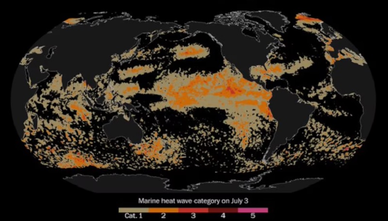 Fiebre oceánica: el Pacífico alcanza temperaturas récord y pone en alerta a científicos