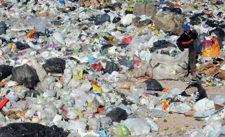 Avanza la ley que facilita las denuncias por WhatsApp sobre daños al medio ambiente