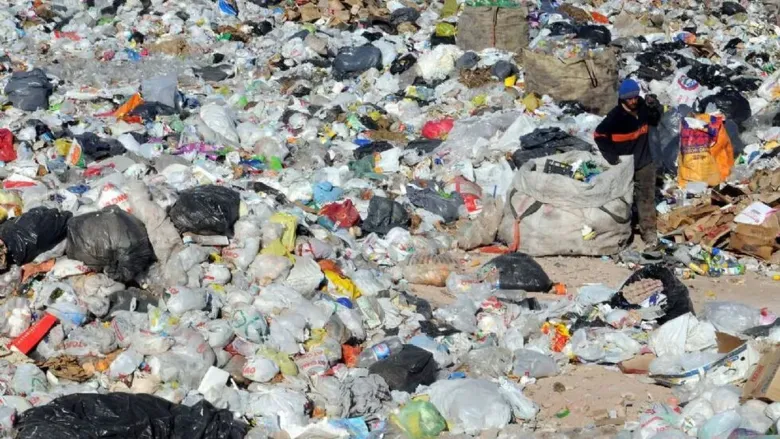 Avanza la ley que facilita las denuncias por WhatsApp sobre daños al medio ambiente