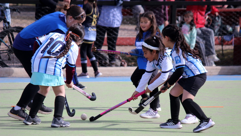A cancha llena se vivió el encuentro de Mini Hockey en el Poli 2