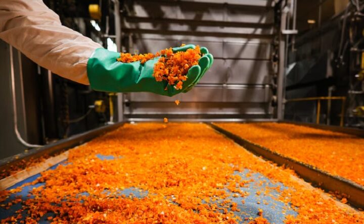Una multinacional cerró una planta de producción en Mendoza y despidió a todos sus empleados
