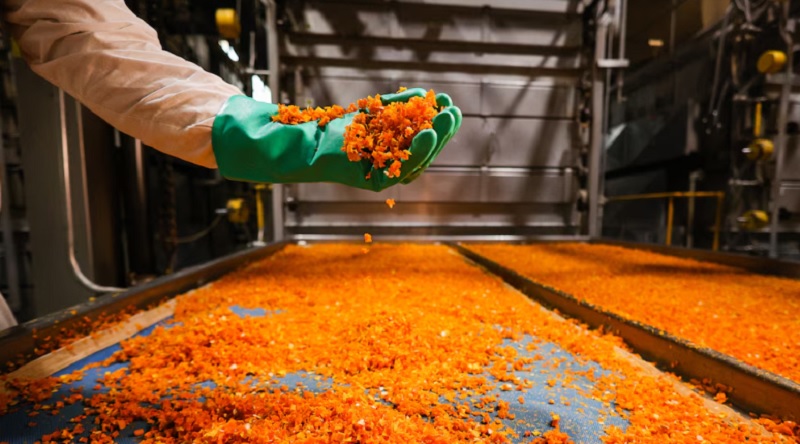 Una multinacional cerró una planta de producción en Mendoza y despidió a todos sus empleados