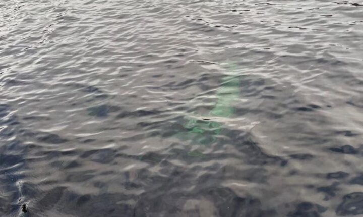 Misterio en Chubut: la Justicia investiga la aparición de una camioneta hundida en un lago