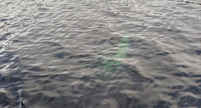 Misterio en Chubut: la Justicia investiga la aparición de una camioneta hundida en un lago