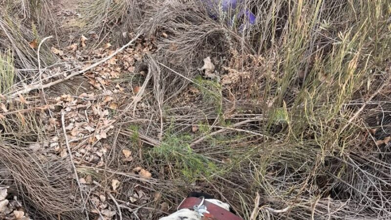 Noll siguió una huella por más de 2 kilómetros y la Policía logró esclarecer un robo en San Rafael