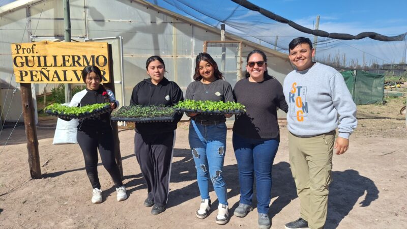 Alumnos de La Guevarina realizan plantines para vender en la Feria Franca y donar a jardines maternales