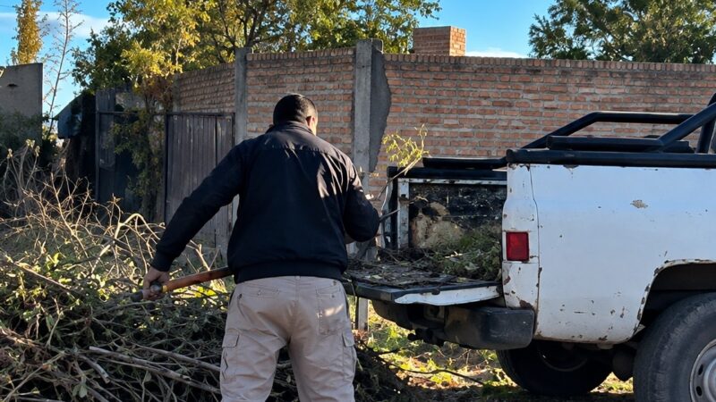 Más denuncias por arrojar basura en la vía pública. Se trabaja en su identificación para aplicar multas