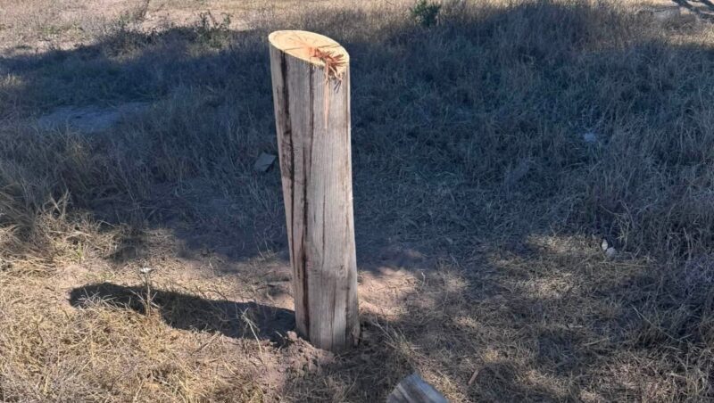 Increíble: usaron una motosierra para tirar abajo un poste y robar la lus Led en Jaime Prats