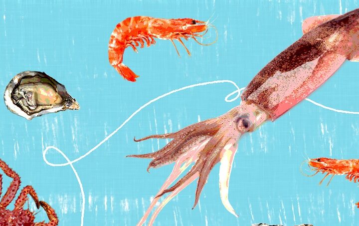 Omega-3, minerales y vitaminas: el valor nutricional oculto de un alimento que en Argentina consumimos muy poco