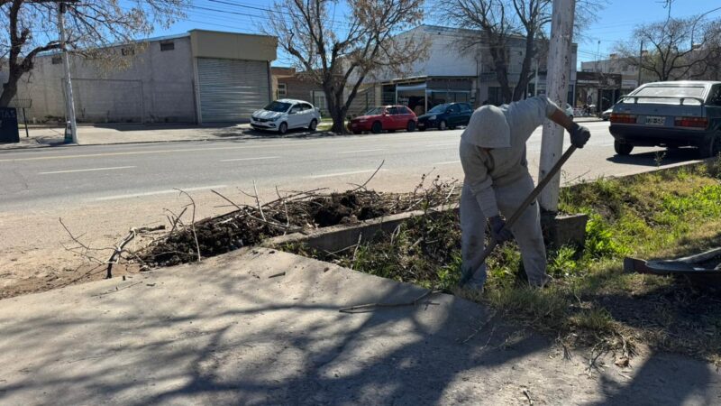 «Súper Niño»: el municipio intensifica la limpieza y pide colaboración a los vecinos