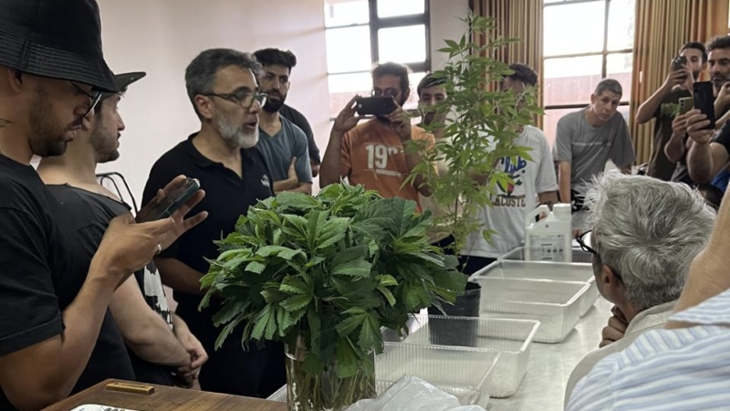 La UNCUYO abre una nueva capacitación en cannabis: cuándo comienza y qué se aprende