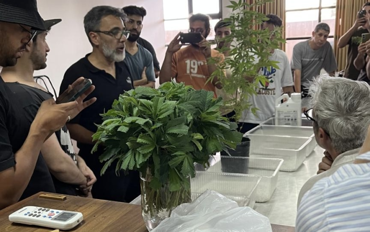 La UNCUYO abre una nueva capacitación en cannabis: cuándo comienza y qué se aprende