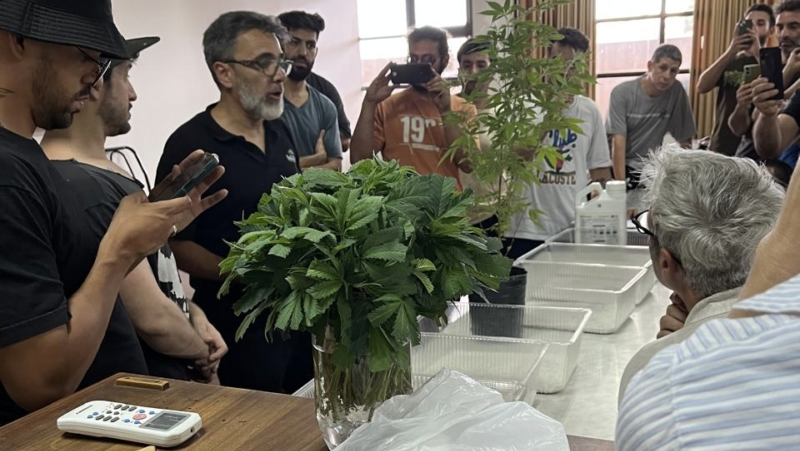 La UNCUYO abre una nueva capacitación en cannabis: cuándo comienza y qué se aprende