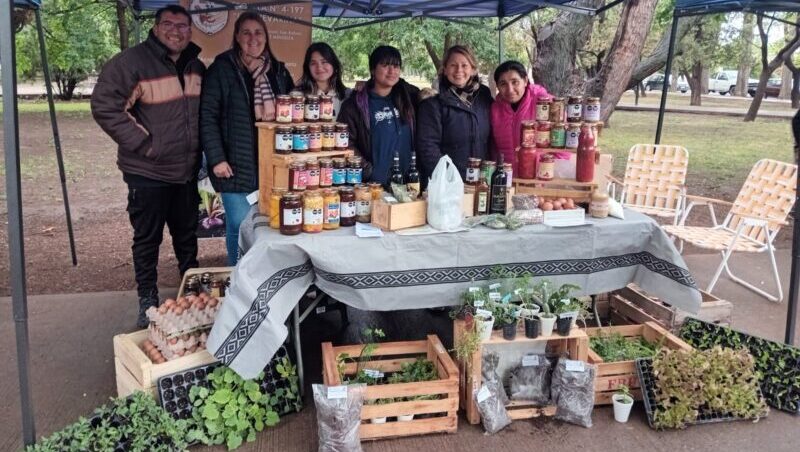 Gran convocatoria de sanrafaelinos en la Feria Franca con los plantines de la escuela Gatica