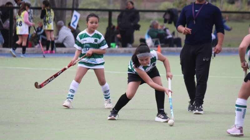 Fútbol social, mini hockey, vóley y cross country: un sábado a puro deporte