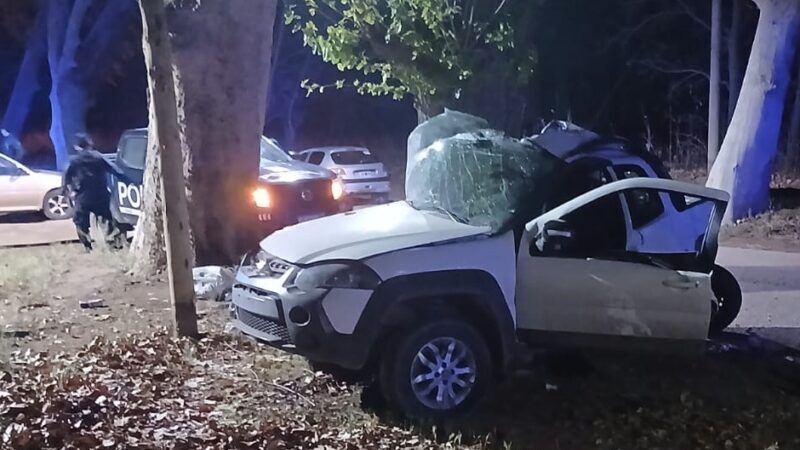 Chocó contra un árbol y falleció