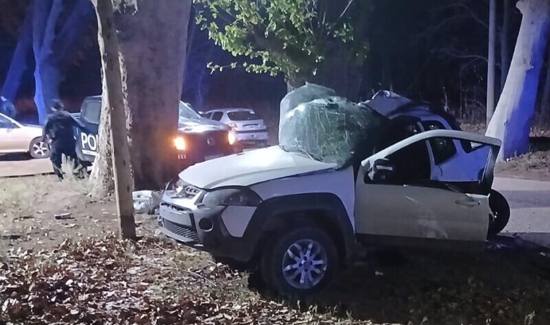 Chocó contra un árbol y falleció