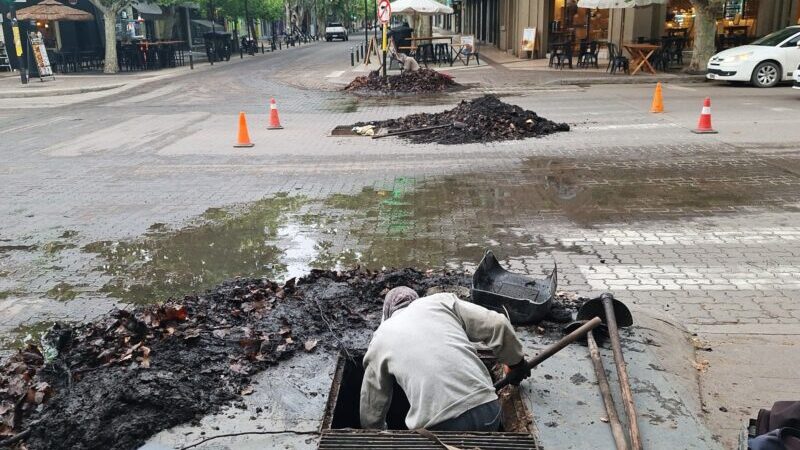 En plena temporada de lluvias, el municipio profundiza la limpieza de pluvioaluvionales en todo San Rafael