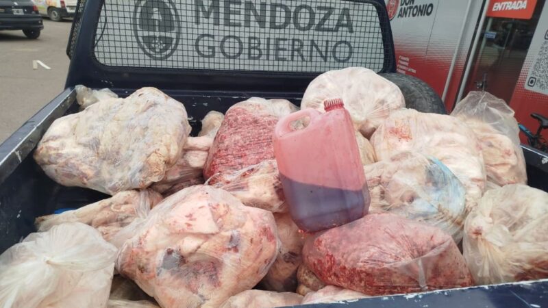 Decomisaron más de 600 kilos de productos cárnicos en San Rafael